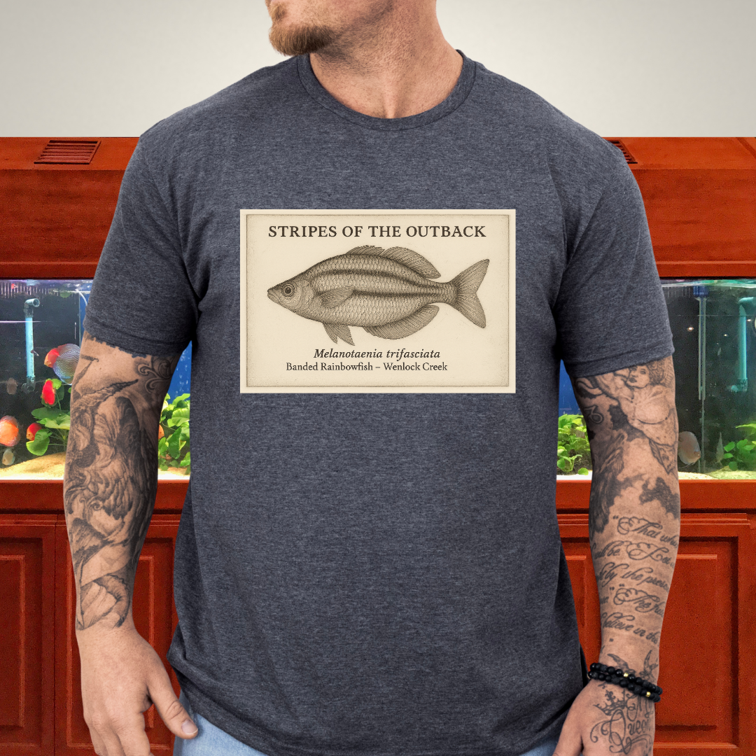 Stripes of the Outback Tee – Banded Rainbowfish Engraving