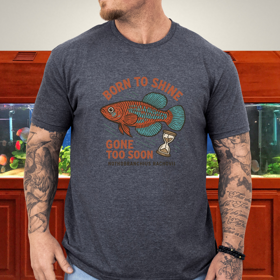 Bluefin Nothobranch Tee – Born to Shine, Gone Too Soon