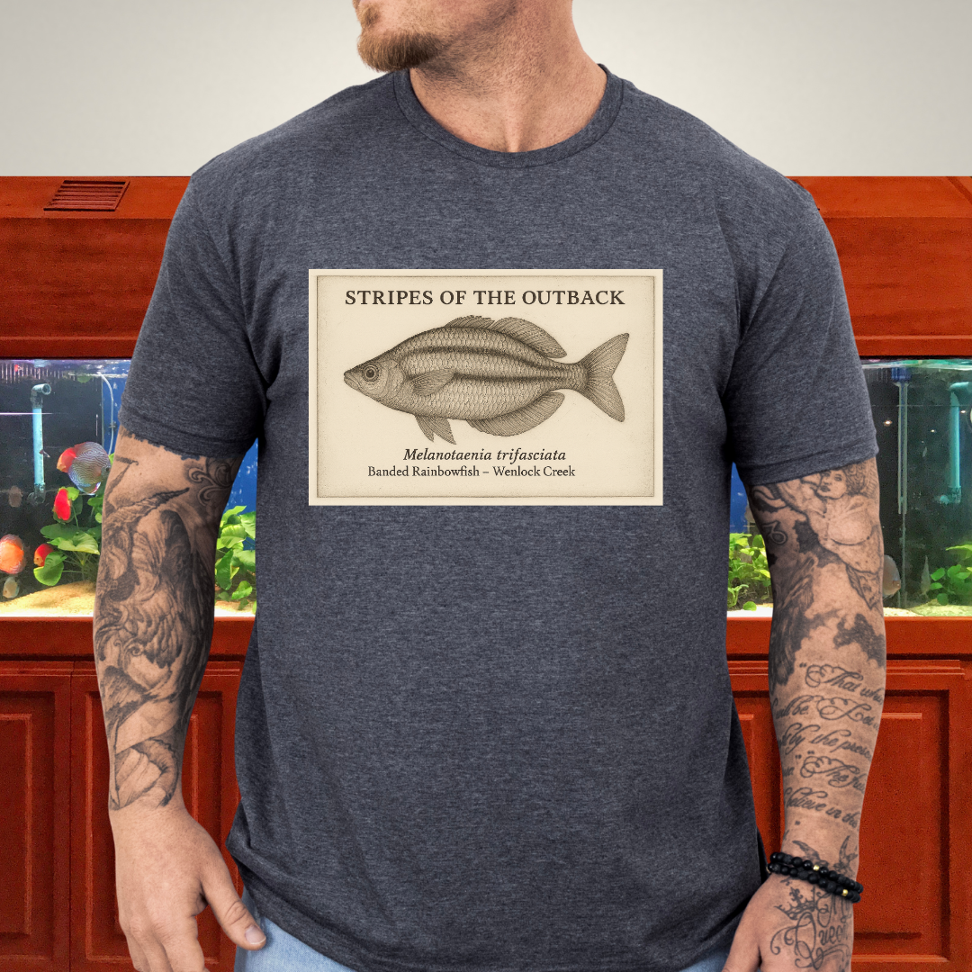 Stripes of the Outback Tee – Banded Rainbowfish Engraving