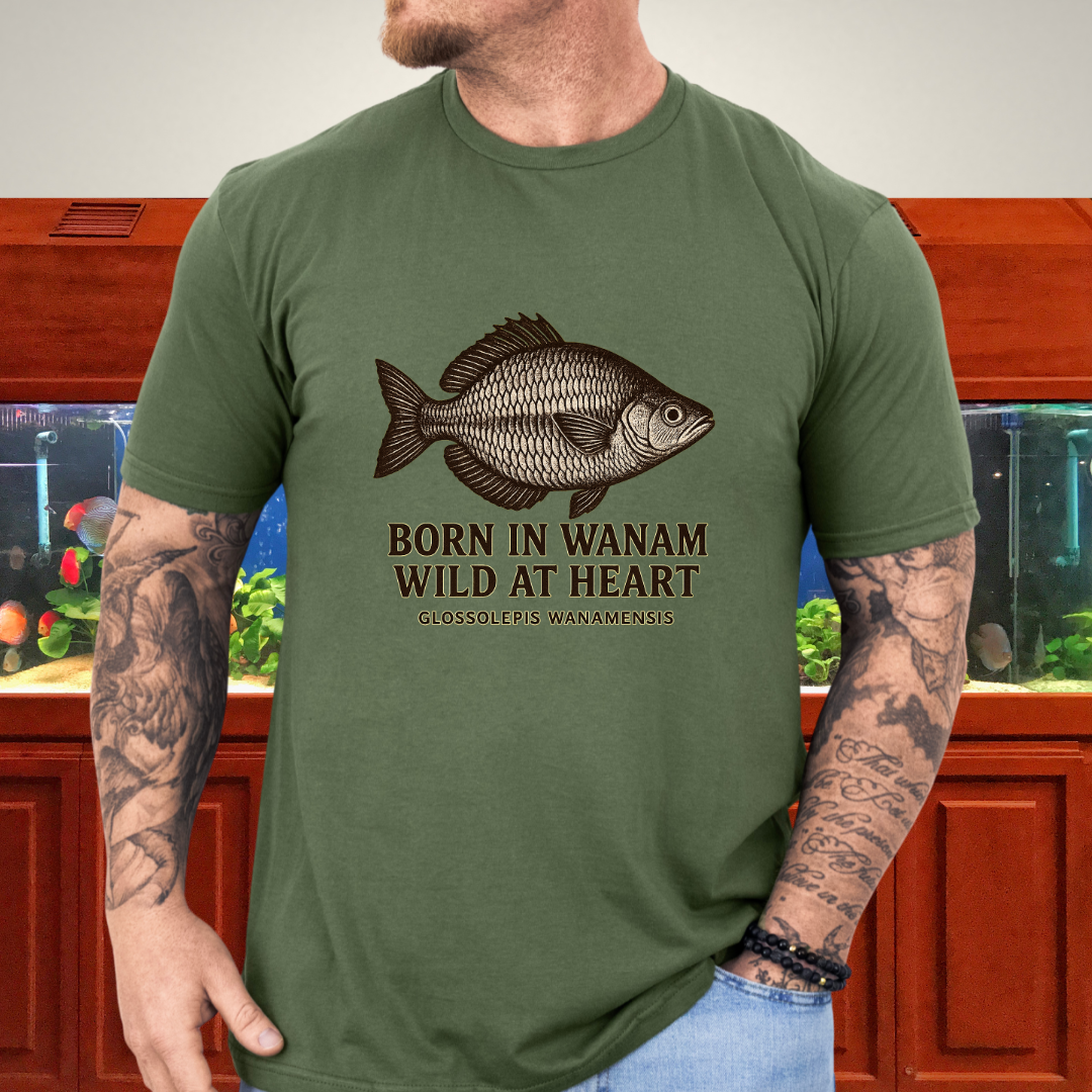 Born in Wanam Tee – Lake Wanam Rainbowfish Adventure Design