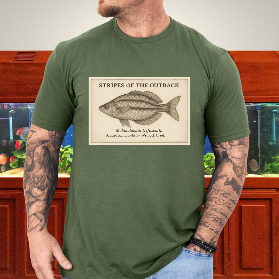 Stripes of the Outback Tee – Banded Rainbowfish Engraving