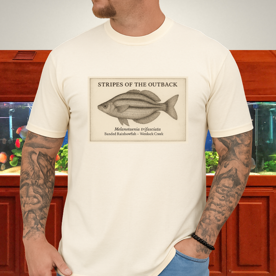 Stripes of the Outback Tee – Banded Rainbowfish Engraving