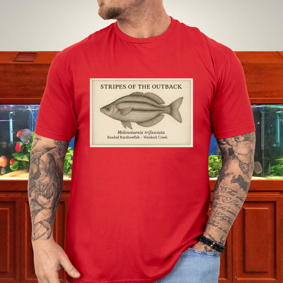 Stripes of the Outback Tee – Banded Rainbowfish Engraving