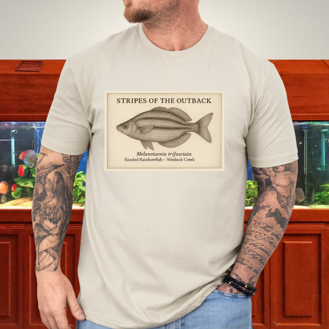 Stripes of the Outback Tee – Banded Rainbowfish Engraving