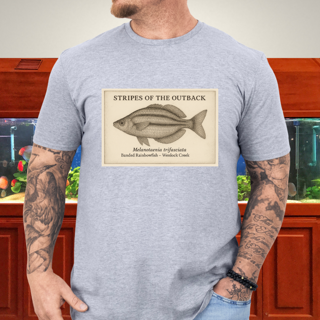 Stripes of the Outback Tee – Banded Rainbowfish Engraving