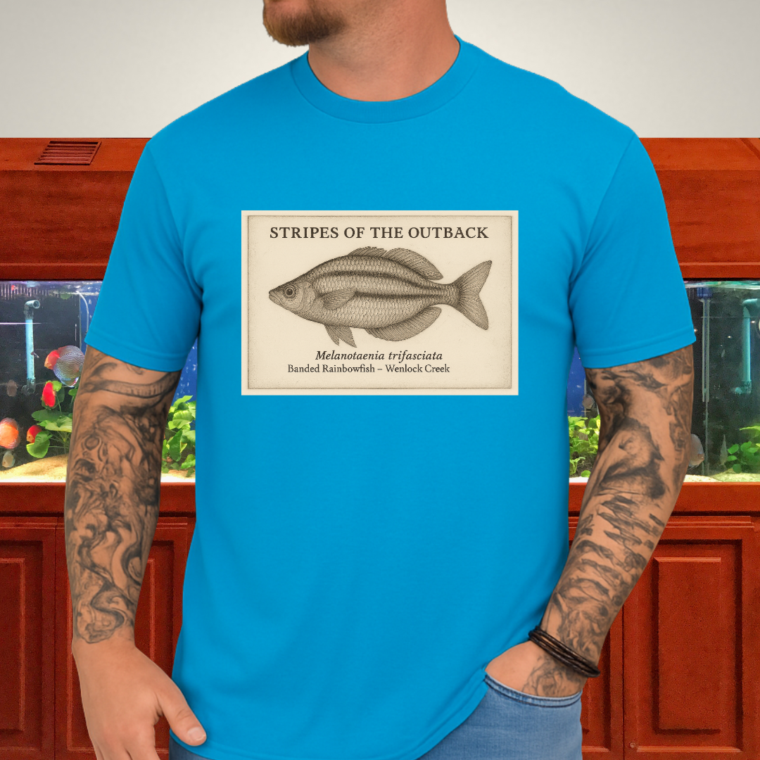 Stripes of the Outback Tee – Banded Rainbowfish Engraving