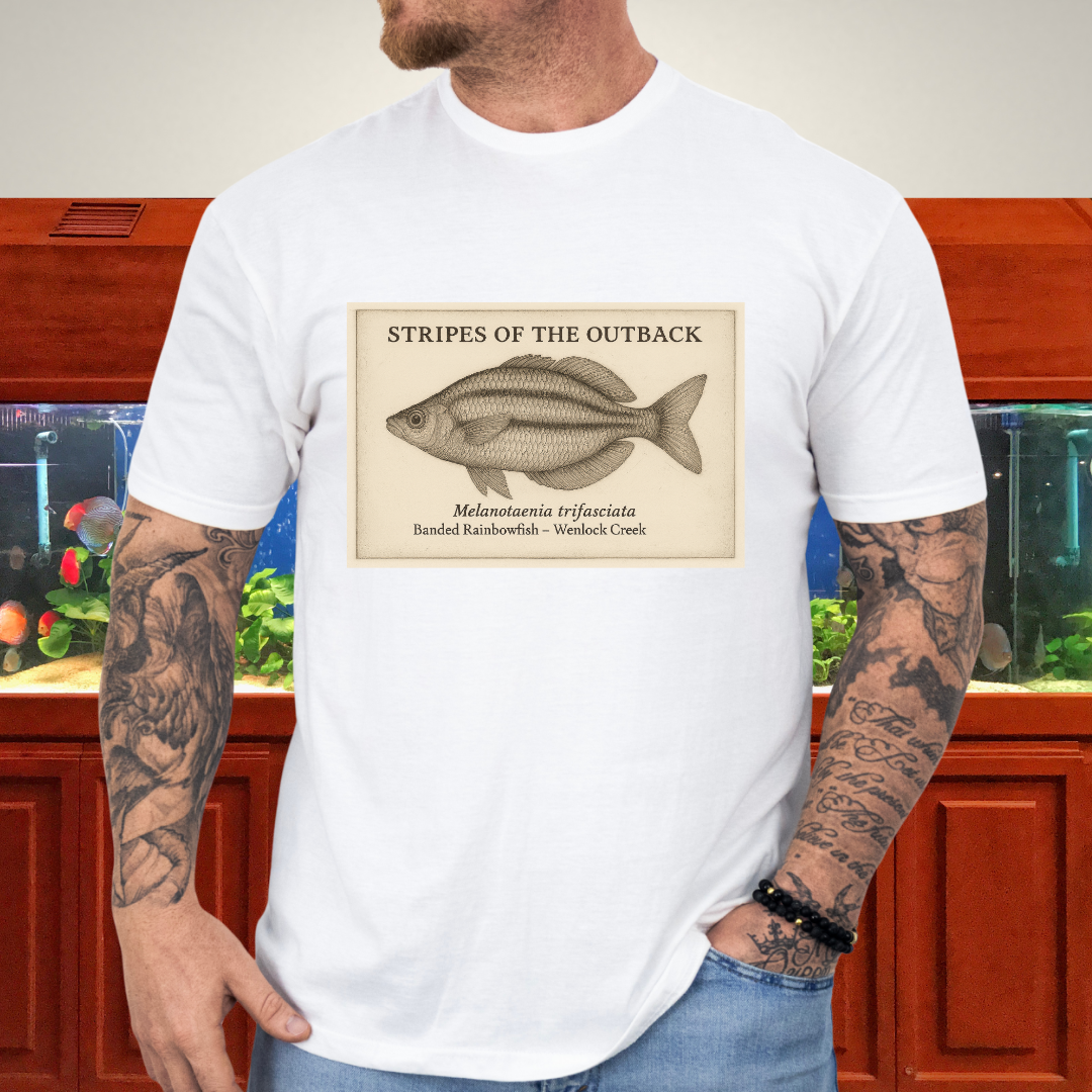 Stripes of the Outback Tee – Banded Rainbowfish Engraving