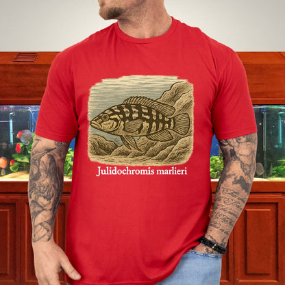 Julidochromis marlieri