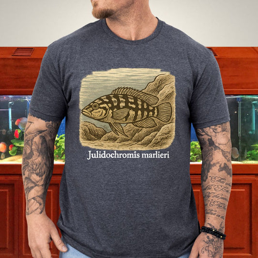 Julidochromis marlieri