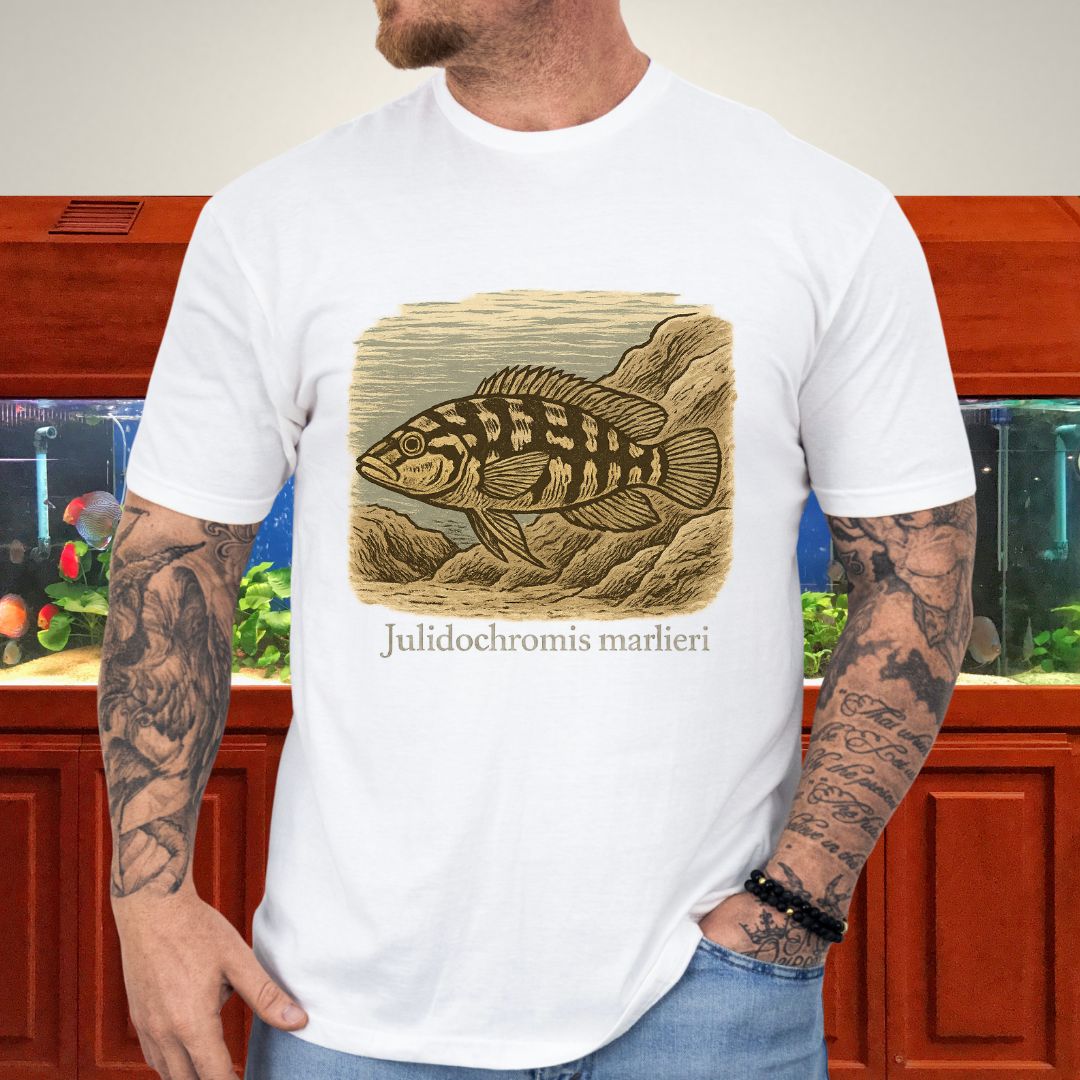 Julidochromis marlieri