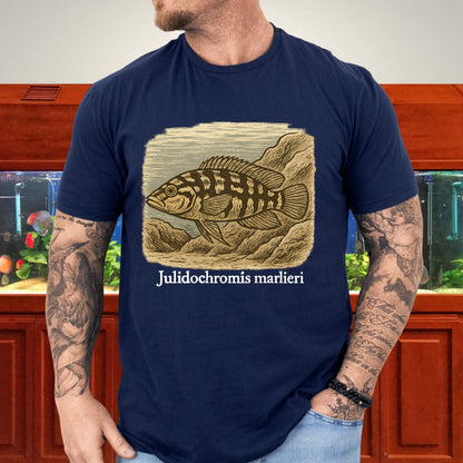 Julidochromis marlieri