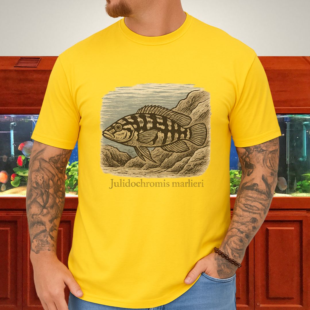 Julidochromis marlieri