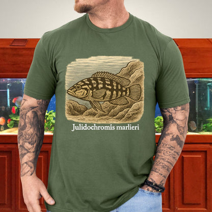 Julidochromis marlieri