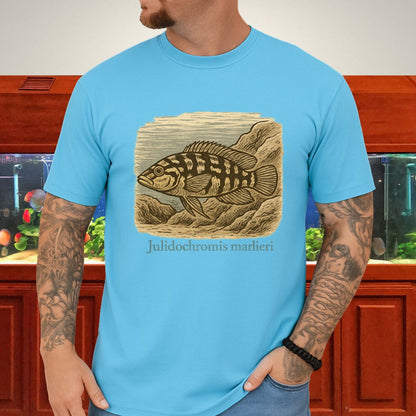 Julidochromis marlieri