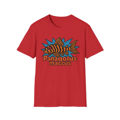 Retro Aquarium Tee – Clown Pleco Bubble Letter Print