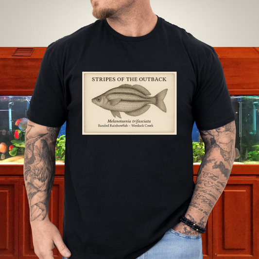 Stripes of the Outback Tee – Banded Rainbowfish Engraving