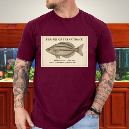 Stripes of the Outback Tee – Banded Rainbowfish Engraving