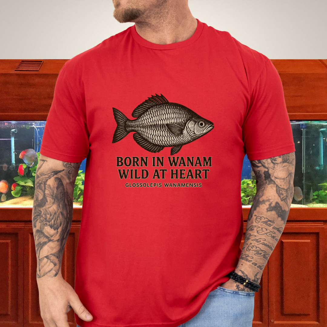 Born in Wanam Tee – Lake Wanam Rainbowfish Adventure Design
