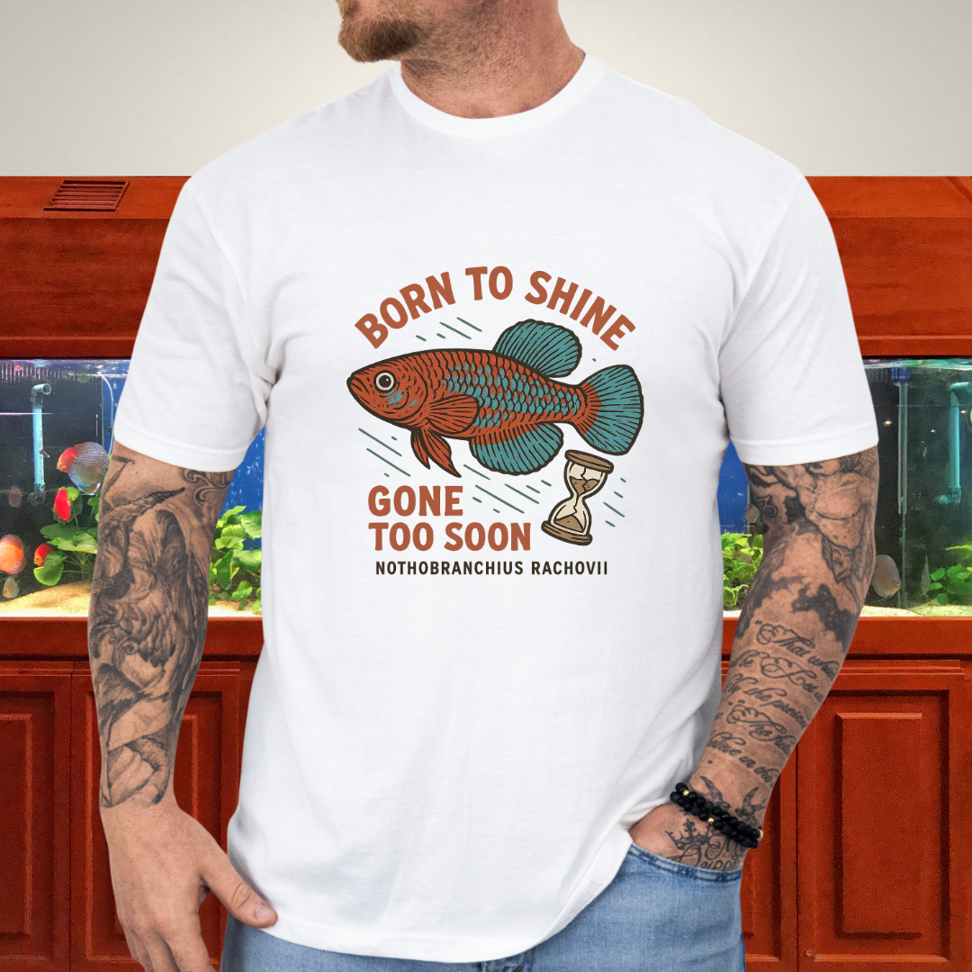 Bluefin Nothobranch Tee – Born to Shine, Gone Too Soon